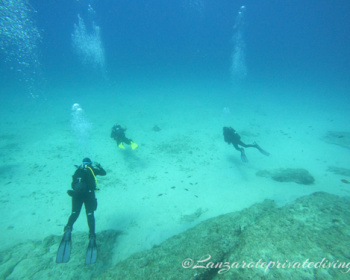 Lanzarote-private-diving-plongee-espagne-costa-teguise-clublanzarote-38