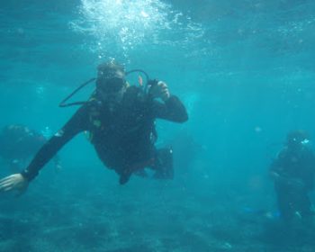 acuarios-jandia-fuerteventura-clubfuerteventura