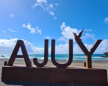 ajuy3