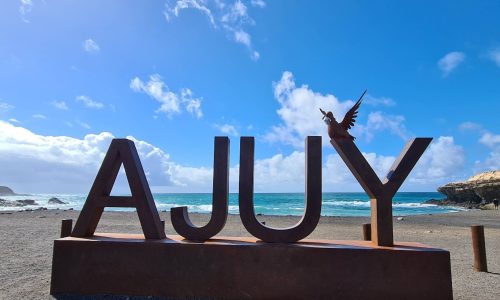 ajuy3