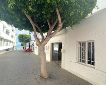 bufete-gonzalez-segura-corralejo-fuerteventura-clubfuerteventura