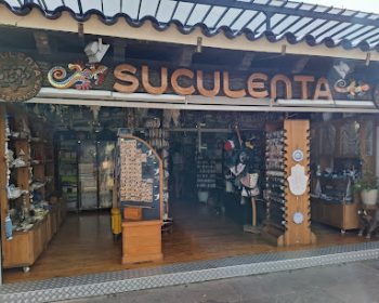 suculenta-tenda-de-artesanía-joyería-y-minerales-corralejo-fuerteventura-clubfuerteventura